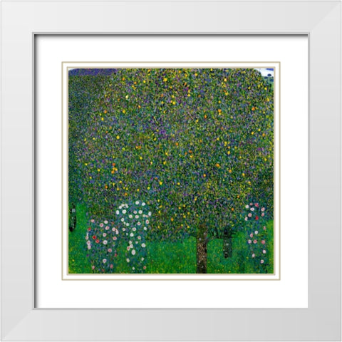 Roses Under Trees 1904 White Modern Wood Framed Art Print with Double Matting by Klimt, Gustav