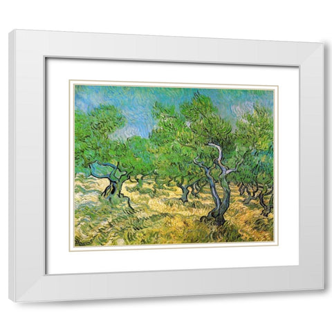 Olive Grove White Modern Wood Framed Art Print with Double Matting by Van Gogh, Vincent