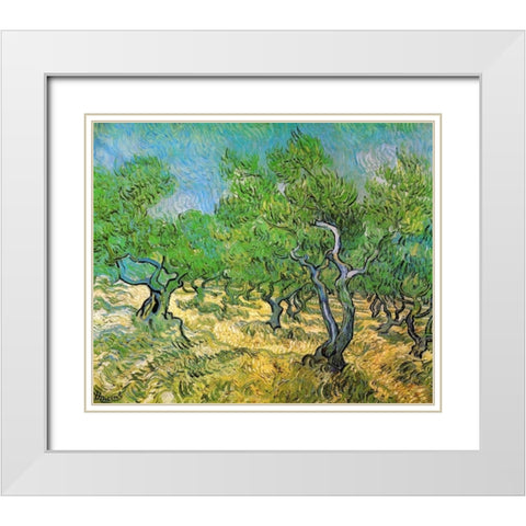 Olive Grove White Modern Wood Framed Art Print with Double Matting by Van Gogh, Vincent