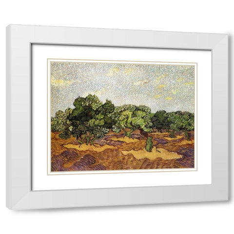 Olive Grove Pale Blue Sky White Modern Wood Framed Art Print with Double Matting by Van Gogh, Vincent