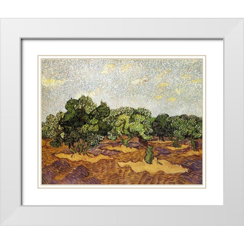 Olive Grove Pale Blue Sky White Modern Wood Framed Art Print with Double Matting by Van Gogh, Vincent