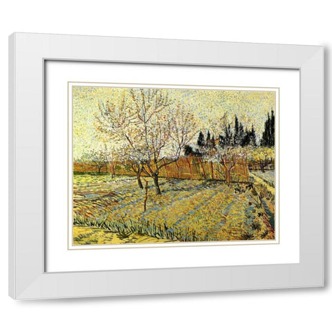 Orchard Springtime White Modern Wood Framed Art Print with Double Matting by Van Gogh, Vincent