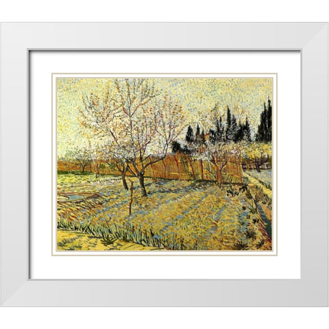 Orchard Springtime White Modern Wood Framed Art Print with Double Matting by Van Gogh, Vincent