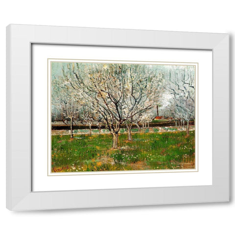 Plum Trees In Blossom White Modern Wood Framed Art Print with Double Matting by Van Gogh, Vincent