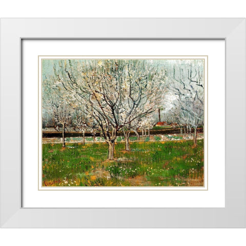 Plum Trees In Blossom White Modern Wood Framed Art Print with Double Matting by Van Gogh, Vincent