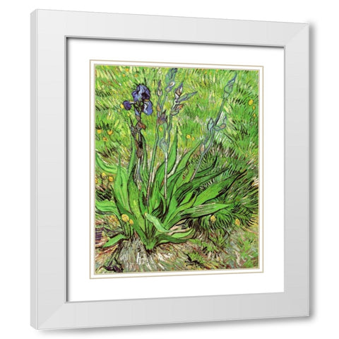The Iris White Modern Wood Framed Art Print with Double Matting by Van Gogh, Vincent