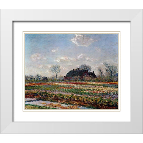 Tulip Field Sassenheim White Modern Wood Framed Art Print with Double Matting by Van Gogh, Vincent