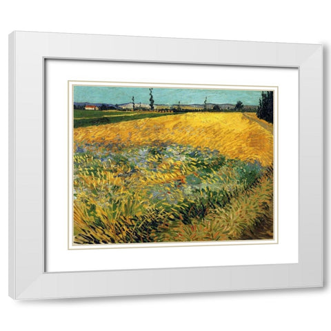 Wheatfield 1888 White Modern Wood Framed Art Print with Double Matting by Van Gogh, Vincent
