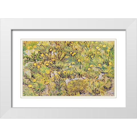 Field Of Yellow Flowers White Modern Wood Framed Art Print with Double Matting by Van Gogh, Vincent