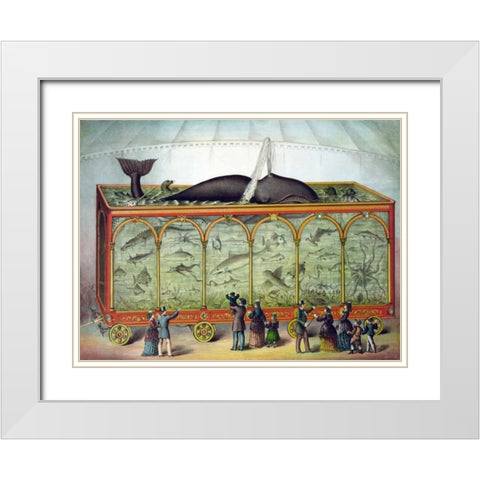 Aquarium White Modern Wood Framed Art Print with Double Matting by Gibson and Co.