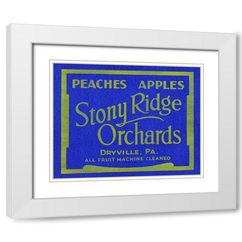 Stony Ridge Orchards Peaches and Apples White Modern Wood Framed Art Print with Double Matting by Unknown