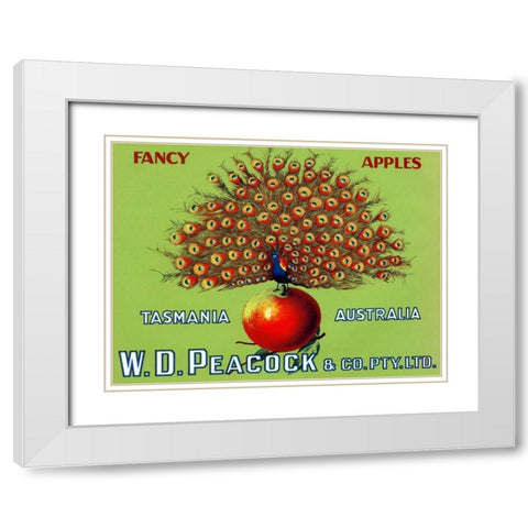 W.D. Peacock Fancy Apples White Modern Wood Framed Art Print with Double Matting by Retrolabel