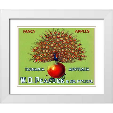W.D. Peacock Fancy Apples White Modern Wood Framed Art Print with Double Matting by Retrolabel