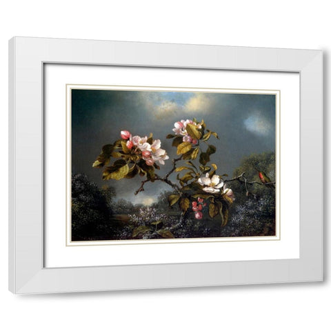 Apple Blossom And Hummingbird White Modern Wood Framed Art Print with Double Matting by Heade, Martin Johnson