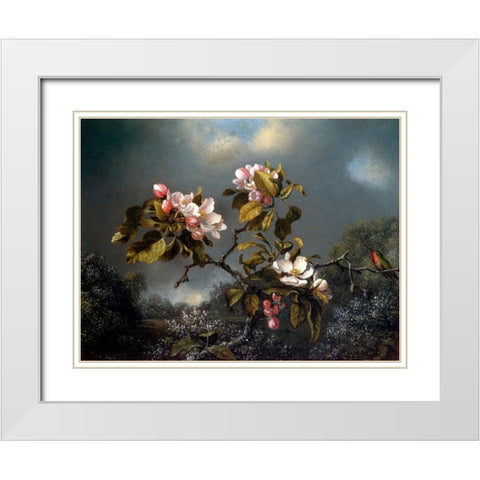 Apple Blossom And Hummingbird White Modern Wood Framed Art Print with Double Matting by Heade, Martin Johnson