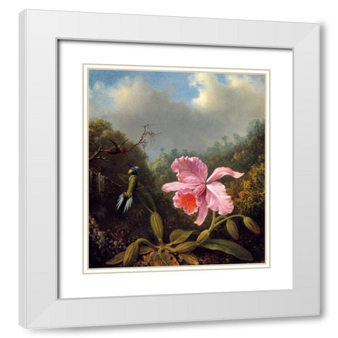 Fighting Hummingbirds With Pink Orchid White Modern Wood Framed Art Print with Double Matting by Heade, Martin Johnson