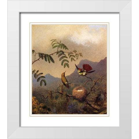 Frilled Coquette White Modern Wood Framed Art Print with Double Matting by Heade, Martin Johnson