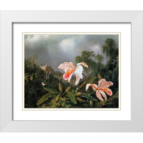 Jungle Orchids And Hummingbirds 1872 White Modern Wood Framed Art Print with Double Matting by Heade, Martin Johnson
