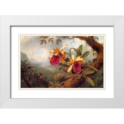 Orchids And Hummingbird White Modern Wood Framed Art Print with Double Matting by Heade, Martin Johnson