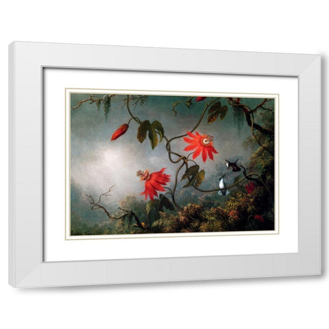 Passion Flowers And Hummingbirds White Modern Wood Framed Art Print with Double Matting by Heade, Martin Johnson