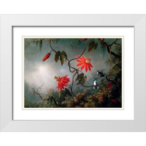 Passion Flowers And Hummingbirds White Modern Wood Framed Art Print with Double Matting by Heade, Martin Johnson