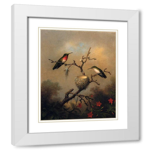 Ruby Throated Hummingbird White Modern Wood Framed Art Print with Double Matting by Heade, Martin Johnson