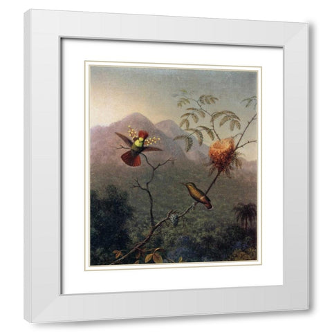 Tufted Coquette White Modern Wood Framed Art Print with Double Matting by Heade, Martin Johnson