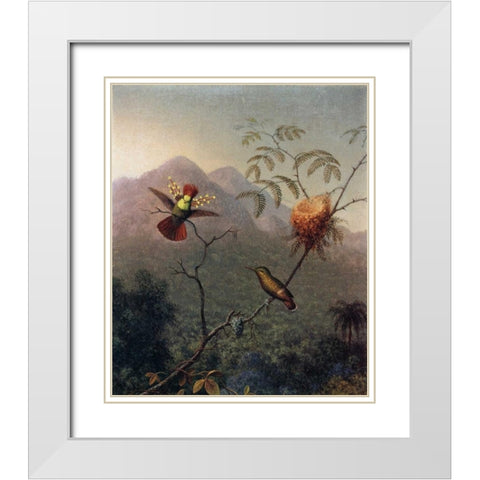 Tufted Coquette White Modern Wood Framed Art Print with Double Matting by Heade, Martin Johnson