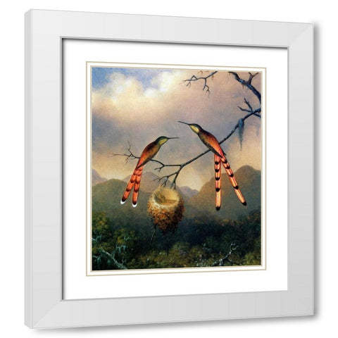 Two Hummingbirds With Their Young White Modern Wood Framed Art Print with Double Matting by Heade, Martin Johnson