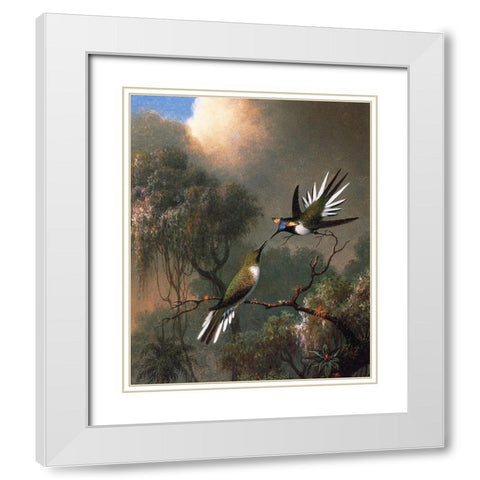 Two Sun Gems On A Branch White Modern Wood Framed Art Print with Double Matting by Heade, Martin Johnson