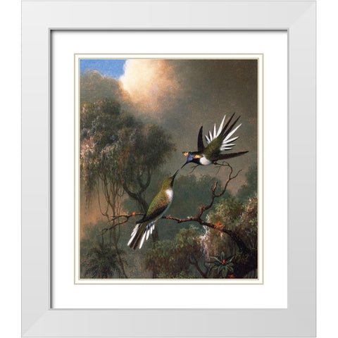 Two Sun Gems On A Branch White Modern Wood Framed Art Print with Double Matting by Heade, Martin Johnson