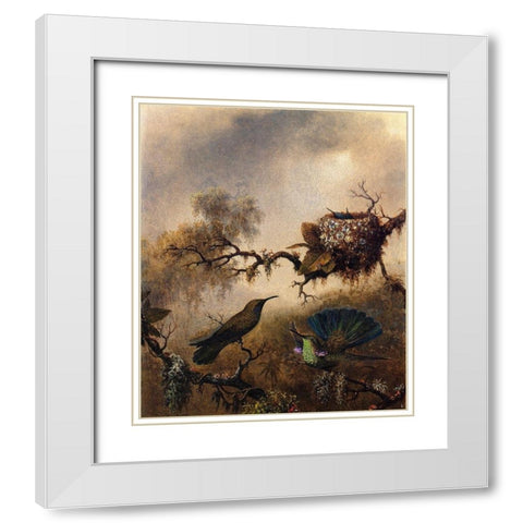 White Vented Violet Ear White Modern Wood Framed Art Print with Double Matting by Heade, Martin Johnson