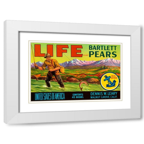 Life Brand Bartlett Pears White Modern Wood Framed Art Print with Double Matting by Retrolabel