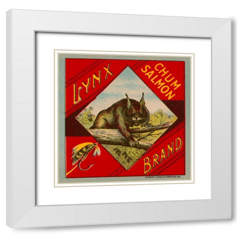 Lynx Brand Chum Salmon White Modern Wood Framed Art Print with Double Matting by Retrolabel