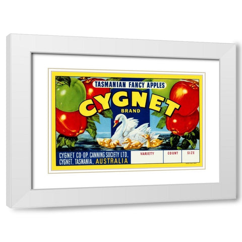 Cygnet Tasmanian Fancy Apples White Modern Wood Framed Art Print with Double Matting by Retrolabel