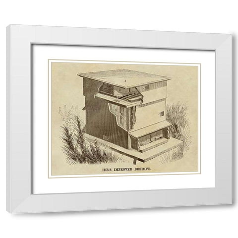 Ides Improved Beehive White Modern Wood Framed Art Print with Double Matting by Inventions
