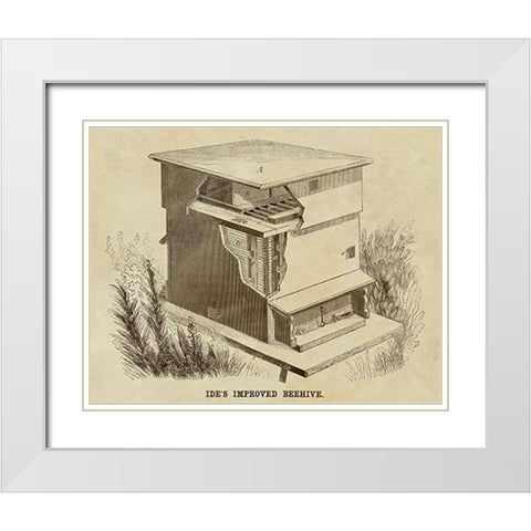 Ides Improved Beehive White Modern Wood Framed Art Print with Double Matting by Inventions