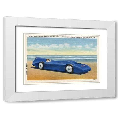 BlueBird 5 White Modern Wood Framed Art Print with Double Matting by Retrotravel