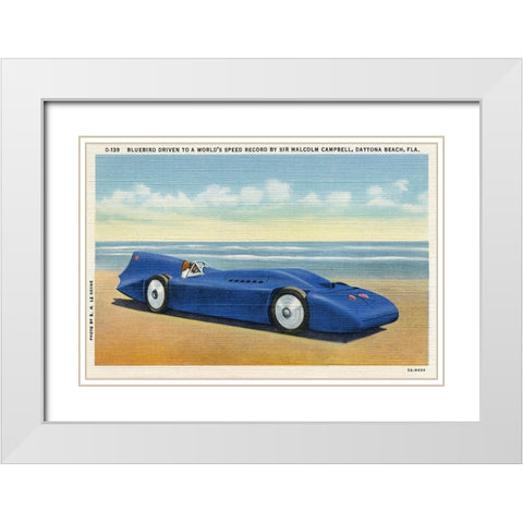 BlueBird 5 White Modern Wood Framed Art Print with Double Matting by Retrotravel