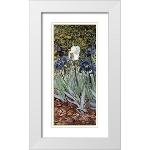 Irises - left White Modern Wood Framed Art Print with Double Matting by Van Gogh, Vincent