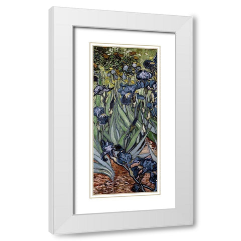 Irises (center) White Modern Wood Framed Art Print with Double Matting by Van Gogh, Vincent