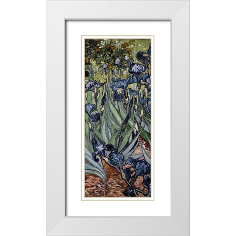Irises (center) White Modern Wood Framed Art Print with Double Matting by Van Gogh, Vincent