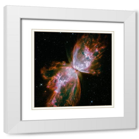 Butterfly Nebula (square) White Modern Wood Framed Art Print with Double Matting by NASA