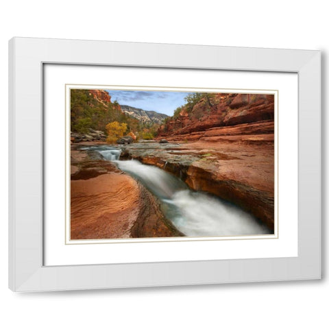 Oak Creek in Slide Rock State Park near Sedona, Arizona White Modern Wood Framed Art Print with Double Matting by Fitzharris, Tim