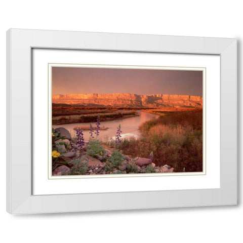 Sierra Ponce and Rio Grande, Big Bend National Park, Texas White Modern Wood Framed Art Print with Double Matting by Fitzharris, Tim