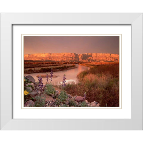 Sierra Ponce and Rio Grande, Big Bend National Park, Texas White Modern Wood Framed Art Print with Double Matting by Fitzharris, Tim