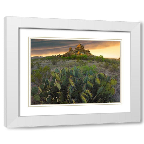 Opuntia and hoodoos, Big Bend National Park, Chihuahuan Desert, Texas White Modern Wood Framed Art Print with Double Matting by Fitzharris, Tim