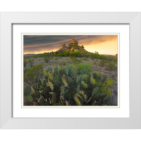 Opuntia and hoodoos, Big Bend National Park, Chihuahuan Desert, Texas White Modern Wood Framed Art Print with Double Matting by Fitzharris, Tim