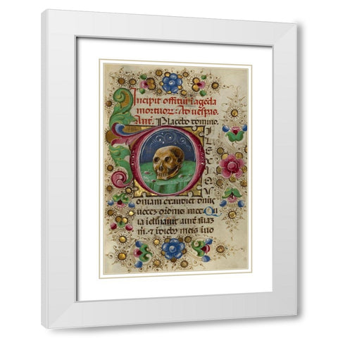 Initial D: A Skull in a Rocky Field White Modern Wood Framed Art Print with Double Matting by Crivetti, Taddeo