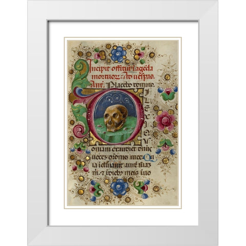 Initial D: A Skull in a Rocky Field White Modern Wood Framed Art Print with Double Matting by Crivetti, Taddeo